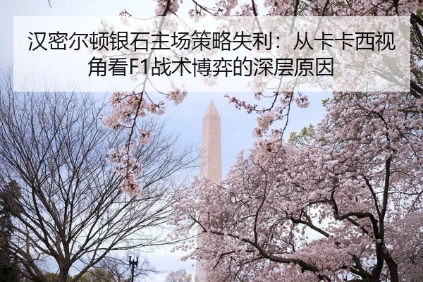 han-mi-er-dun-yin-shi-zhu-chang-ce-lve-shi-li-cong-ka-ka-xi-shi-jiao-kan-zhan-shu-bo-yi-de-shen-ceng-yuan-yin-2-289.jpg