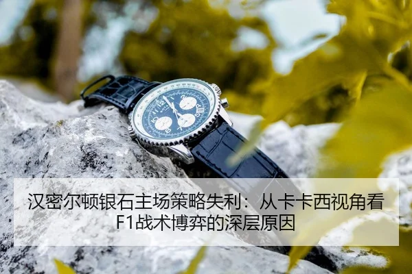 han-mi-er-dun-yin-shi-zhu-chang-ce-lve-shi-li-cong-ka-ka-xi-shi-jiao-kan-zhan-shu-bo-yi-de-shen-ceng-yuan-yin-3-348.jpg